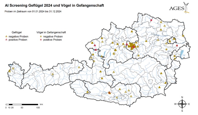 Lage untersuchter Wildvögel auf Österreichkarte (Vergrößert das Bild in einem Dialog Fenster)